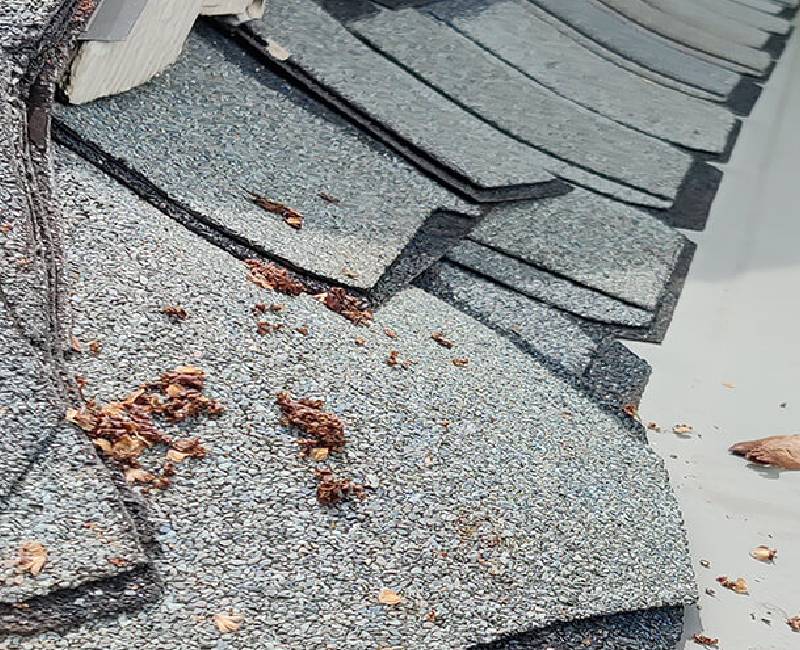 Debris from gutter cleaning of home in Kansas City