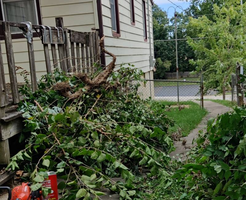 Tree limbs cut from home in Kansas City beside deck