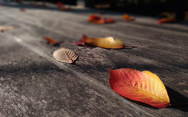 Leaves on wooden deck before cleaning in Kansas City